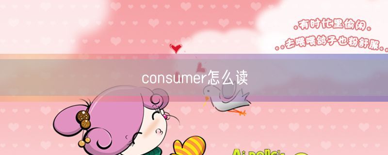 <strong>consumer怎么读</strong>