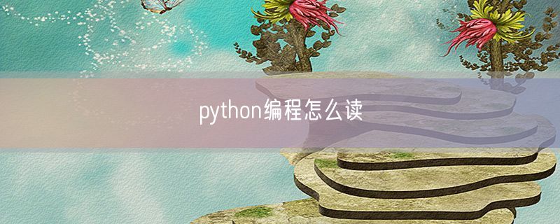 <strong>python编程怎么读</strong>